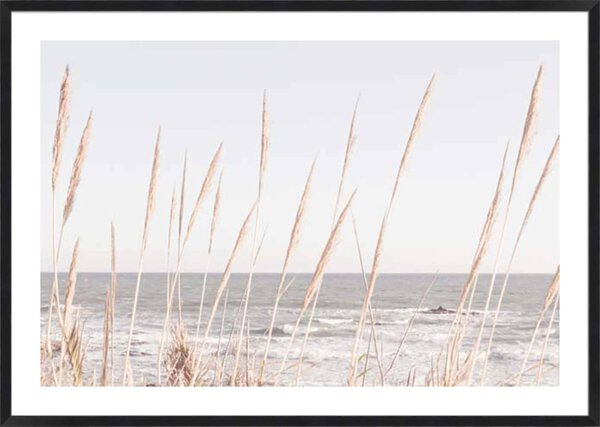 Studio III – Beach Vass 002 - 5cm White Border - Image 3