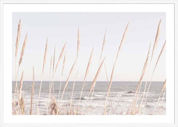 Studio III – Beach Vass 002 - 5cm White Border - Image 2
