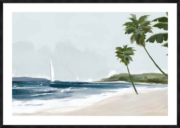 Secluded Palm Beach - 5cm White Border Sm. Black Woodgrain
