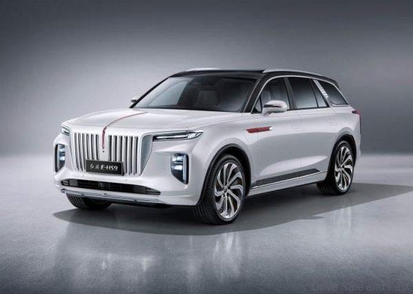 Hongqi E-HS9_white colour