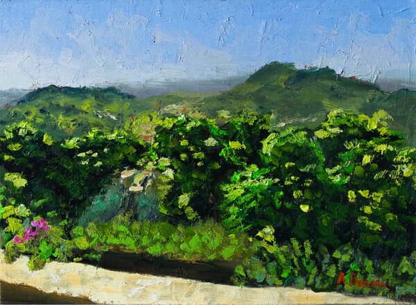 Original oil painting of a green Tuscan landscape in Carmignano with trees, hills, flowers and evening light
