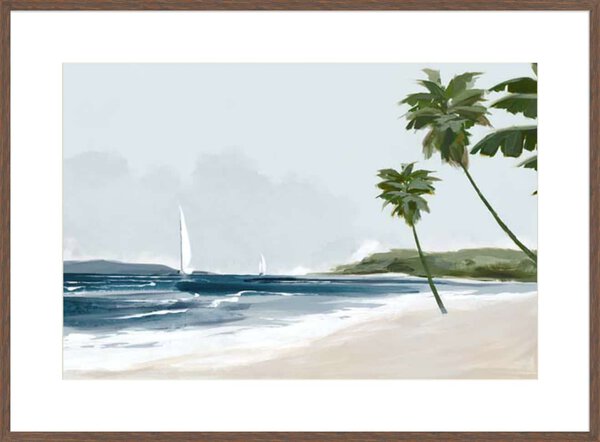 Secluded Palm Beach - 10cm Mount Board Box Walnut