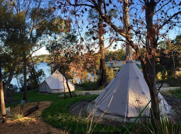 Wingtons-Glamping-Tamar-River Wingtons-Glamping-Tamar-River