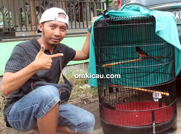 murai batu Semar Sakti