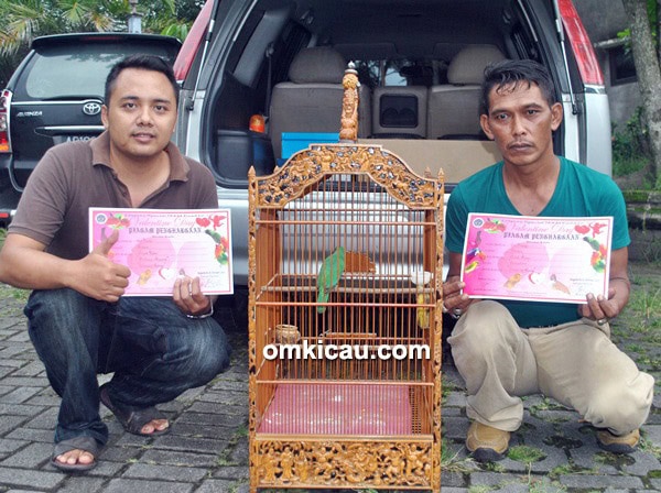 Om Punto dan cucak hijau Tongseng Keong