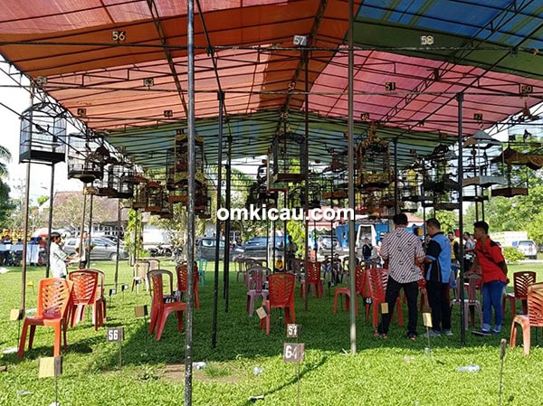 piala kapolres sarolangun piala kapolres sarolangun