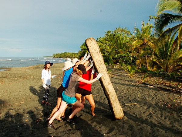 Students remove debris from a beach as part of the Sea Turtle Conservation Project