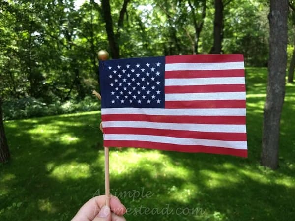 Happy Independence Day 2018