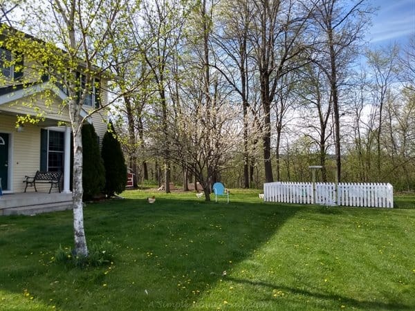 front yard garden view