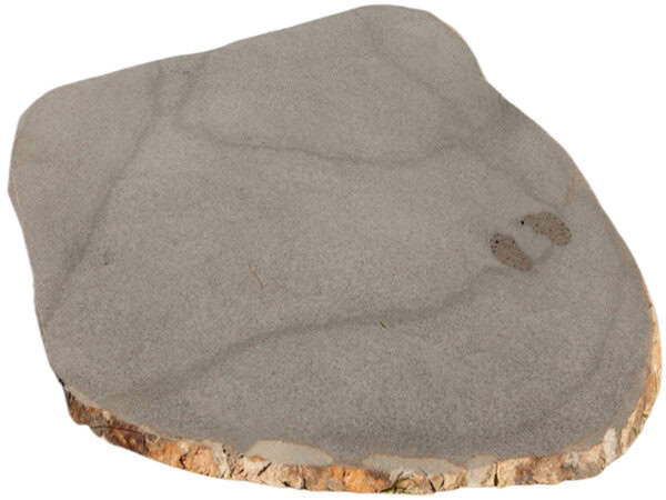 Stone Steppers - Bluestone Stepping Stones