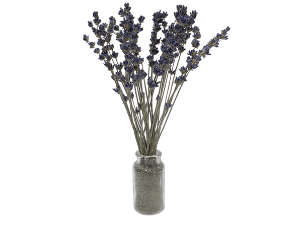 Lavender Mini Bouquet