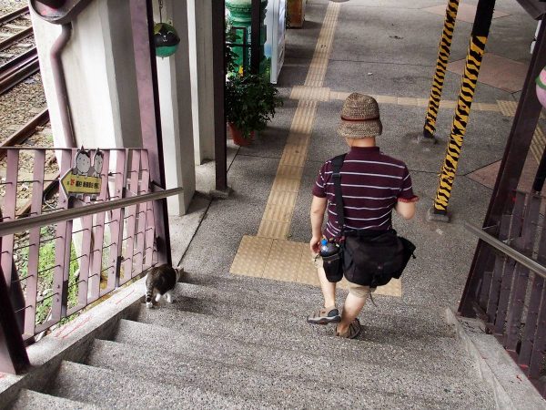 猴硐猫村