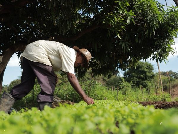 Fazenda Agroecológica resgata preceitos de Padre Cícero e fortalece agricultura sustentável 1 WhatsApp Image 2024 10 24 at 10.48.21