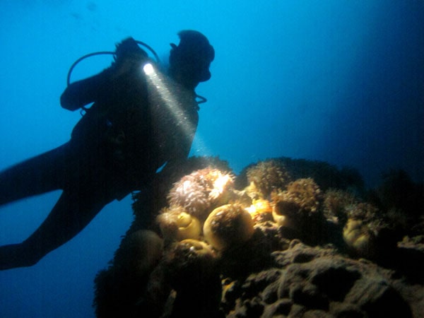buceo torredembarra