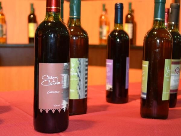 21° Fiesta del Vino de la Costa en Berisso: Celebración, tradición y sabores únicos Presentacion Fiesta del Vino de la Costa en Berisso galeria6