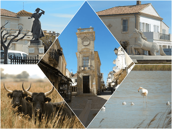 Camargue France
