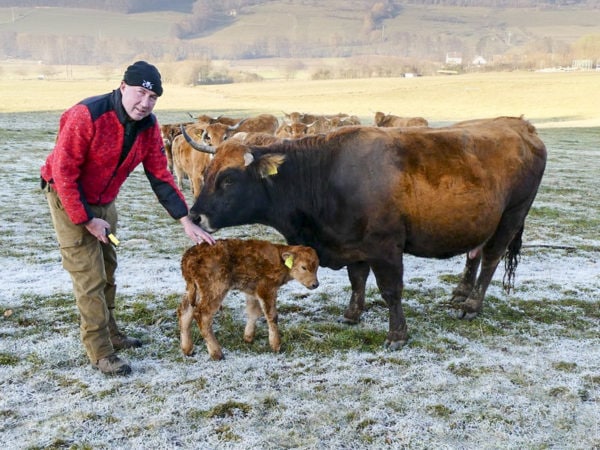 Freilandtierhaltung rechts Freilandtierhaltung rechts