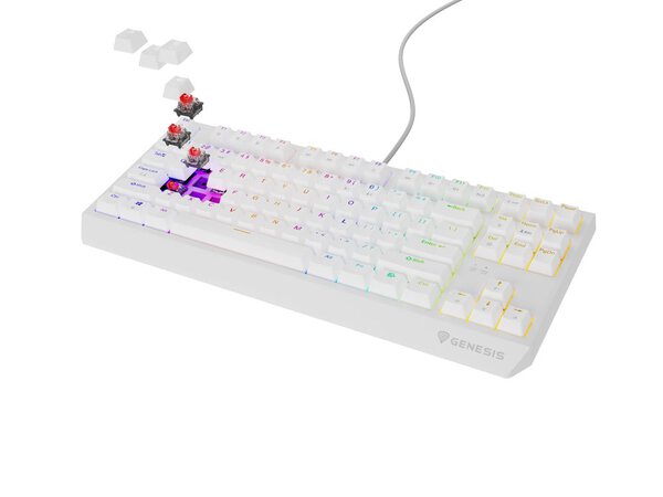 Keyboard Genesis Gaming Thor 230 TKL Hot Swap Mechanical Red Switch RGB White