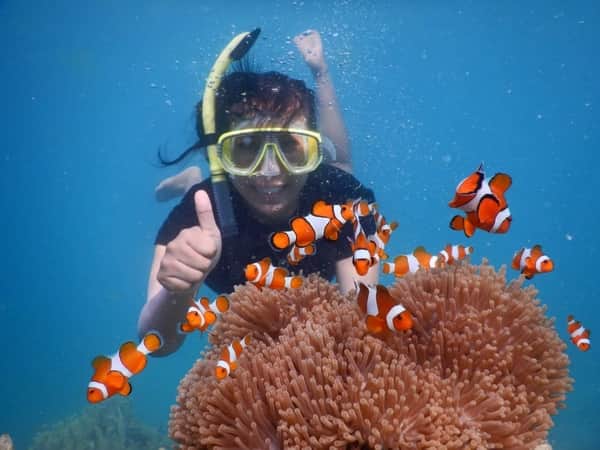 Paket Wisata Karimunjawa dari Semarang