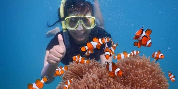 wisata karimunjawa 1