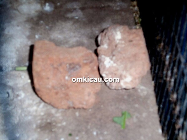 Batu bata untuk asinan lovebird