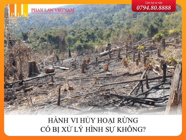 Hành vi hủy hoại rừng có bị xử lý hình sự không?