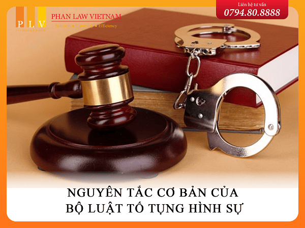 Nguyên tắc cơ bản của Bộ Luật tố tụng hình sự Nguyên tắc cơ bản của Bộ Luật tố tụng hình sự.