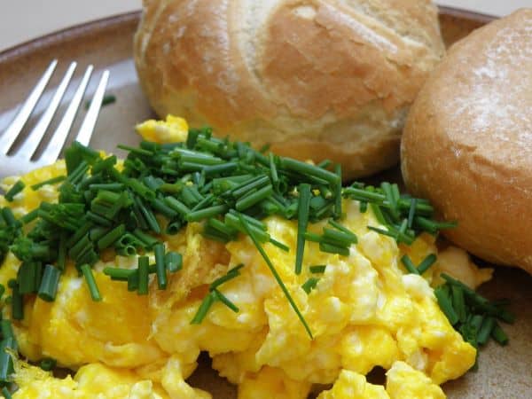 Chives meal ideas Chives meal ideas