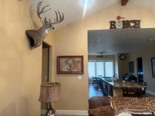 Run n Hide Ranch Accommodations Gallery