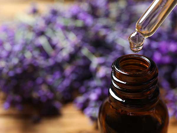 lavender essential oil