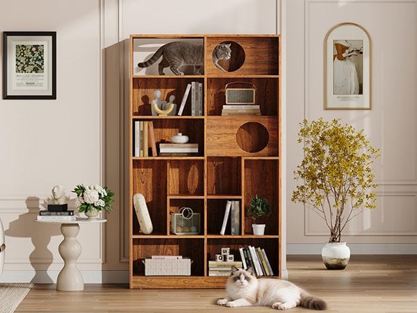 Cat House:Modern 2 IN 1 Wood Bookshelf