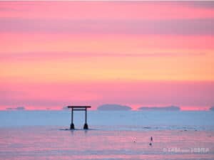 見附島 朝焼けでピンクに染まる　見附島横　海の中の鳥居