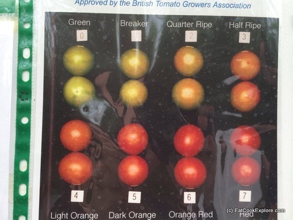 the tomato stall (46)