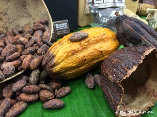 Chocolate Show cocoa pods and cocoa beans