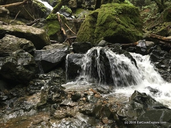 Mount Tam Cataract Falls