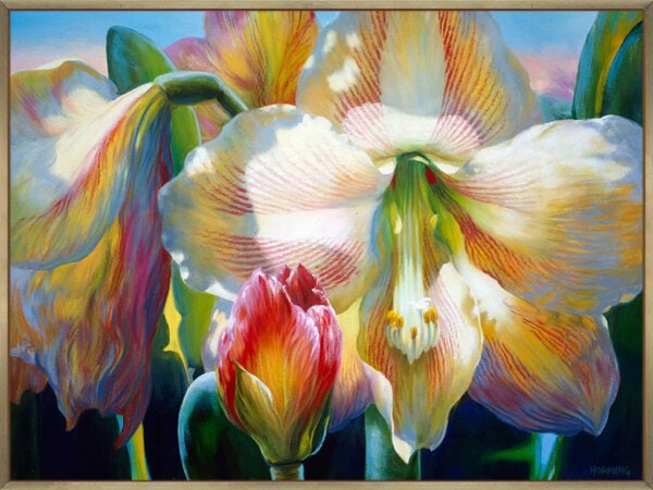 Amarylis - Canvas Gallery Champagne