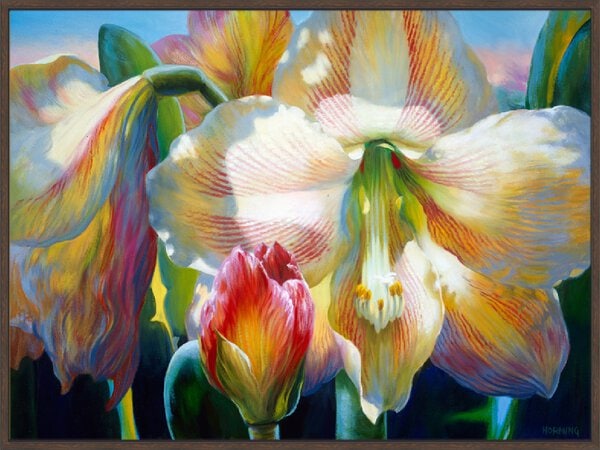 Amarylis - Canvas Gallery Walnut