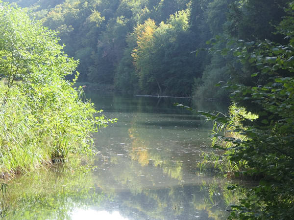 Egelsee bei Zufikon