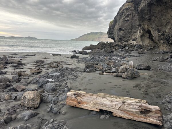 Black sand beach near Whatipu with old timber piles from the mining era