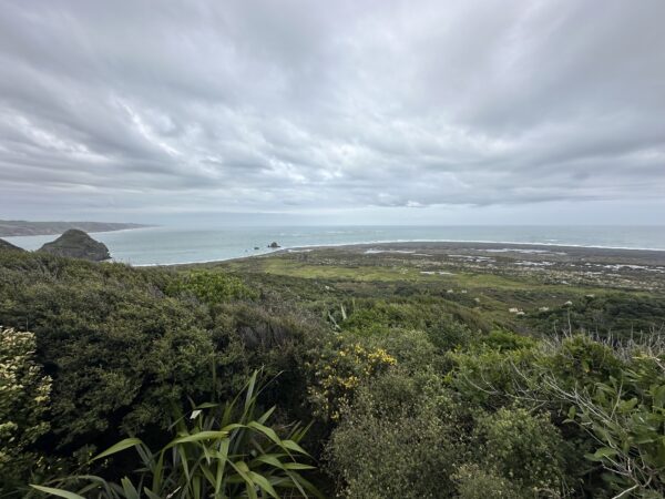 Ridge line views along the Gibbons-Muir Track