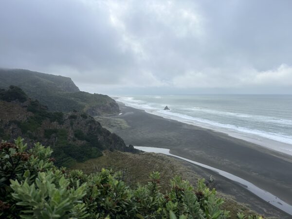 Cliff-top views across the Tasman Sea on the Mercer Bay Loop Track