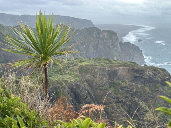 Te Ahua Pa historic Maori site on the cliff tops