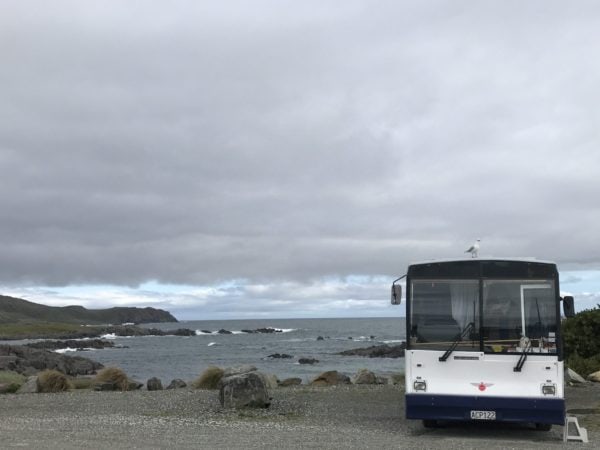 Our house bus, the smaller home we downscaled into for frugal living