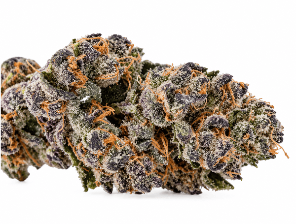Purple Mandee