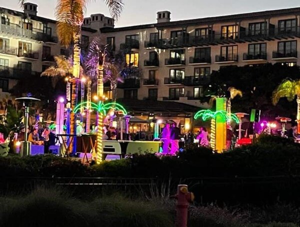 LED Palm Trees Rental rental for events in Los Angeles, Orange County, and nationwide