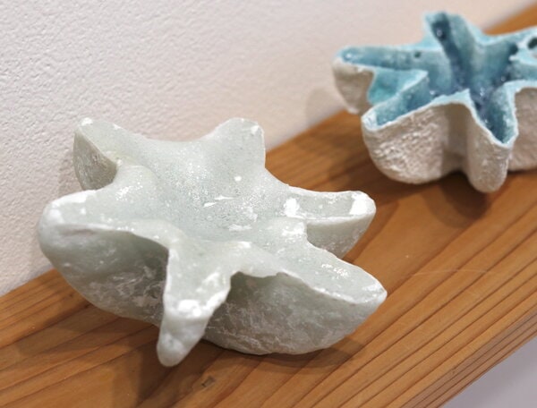 Small seedling-V - 画像 (3)