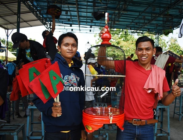 Lovebird Intan Lovebird Intan