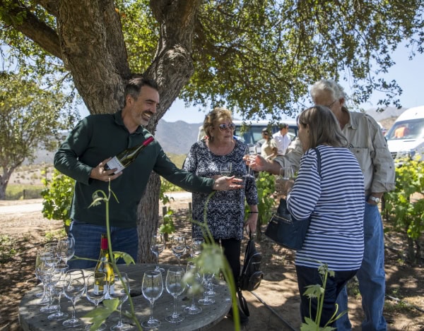 Tasting within the vines at Villard fine wines in Casablanca Chile