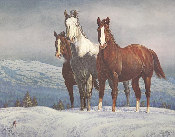 Companions - Bob Moline