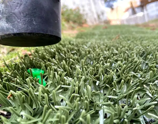Natura® PowerRun™ Large Roll Dog Turf 36in x 25ft - Image 6